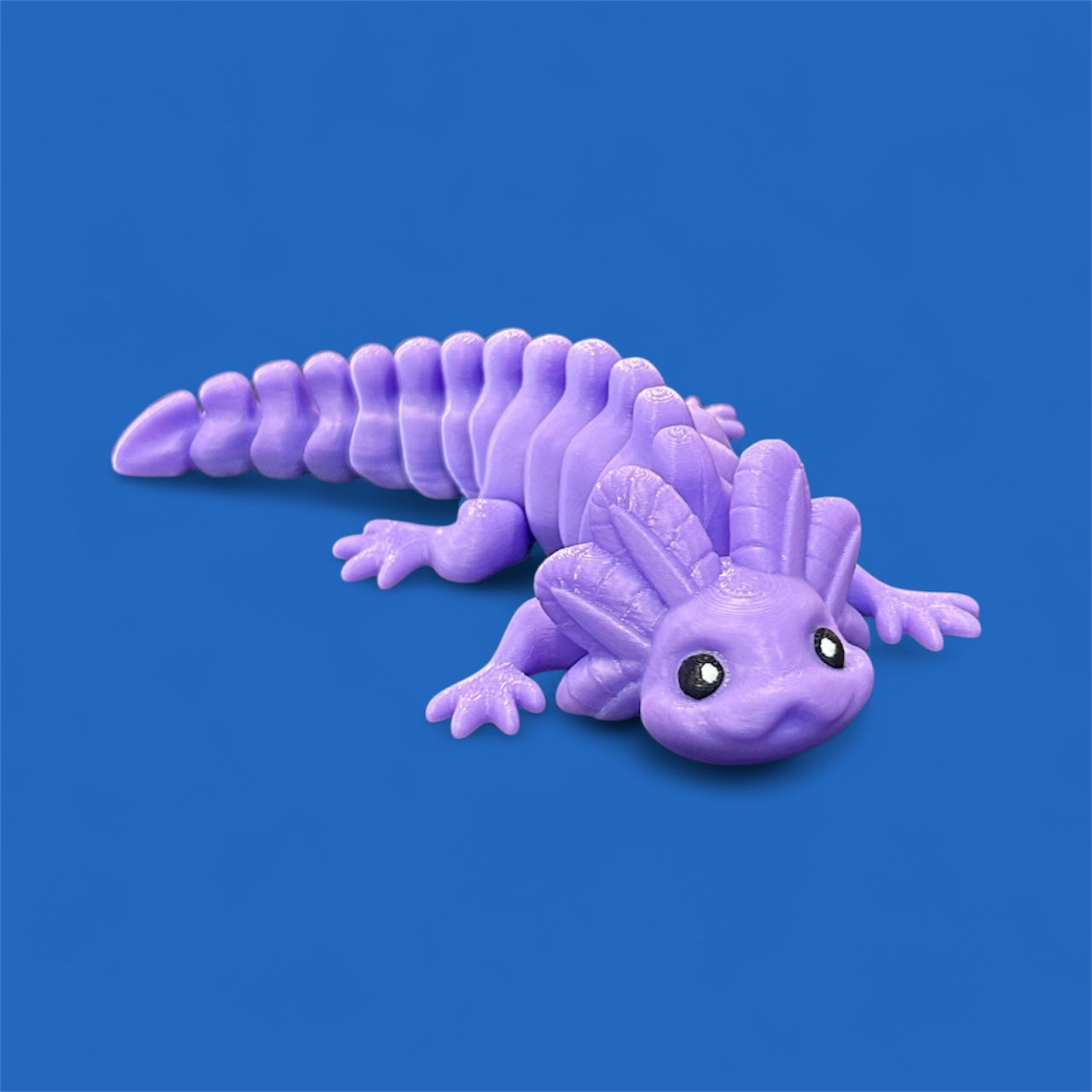 Axolotl