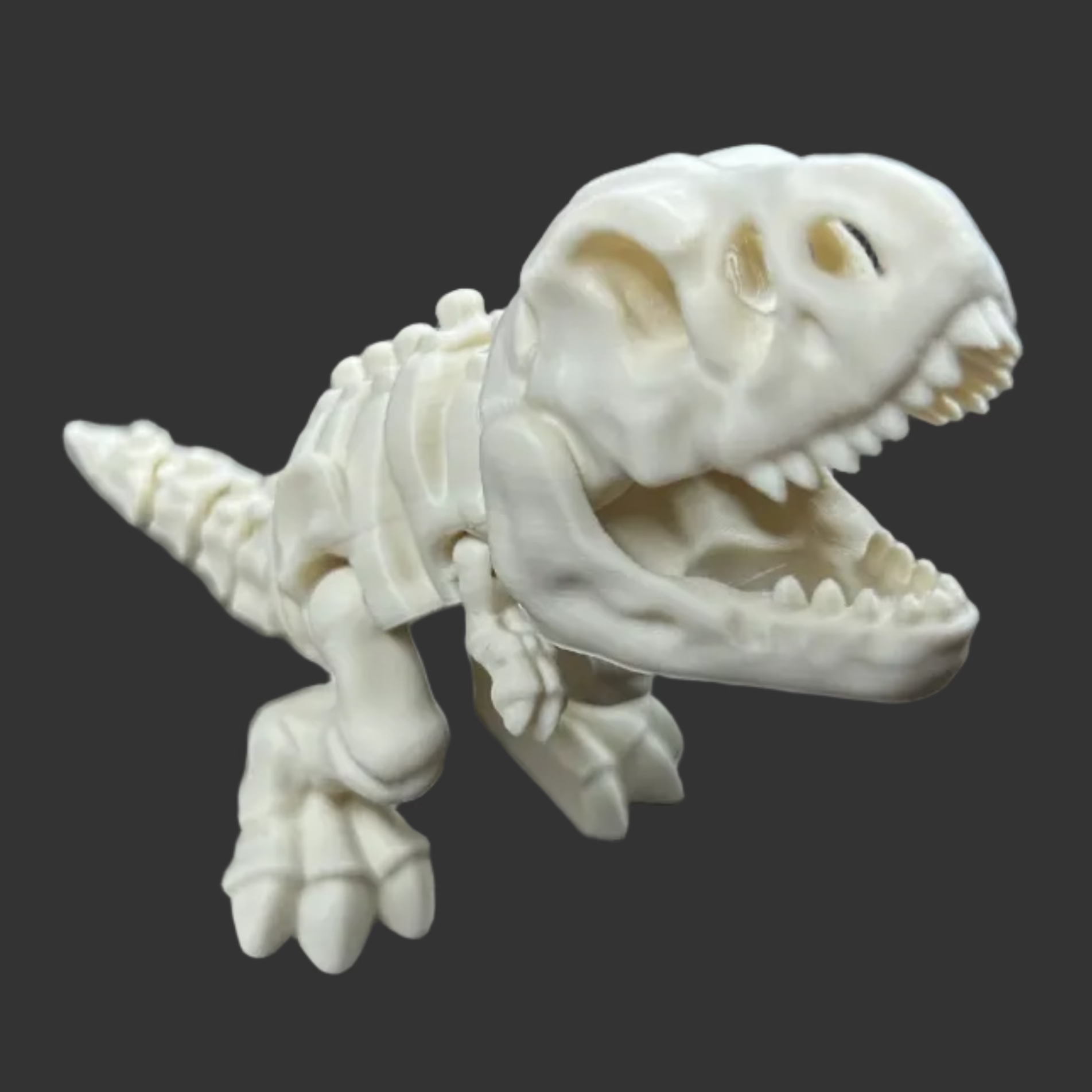 Skeleton T-Rex