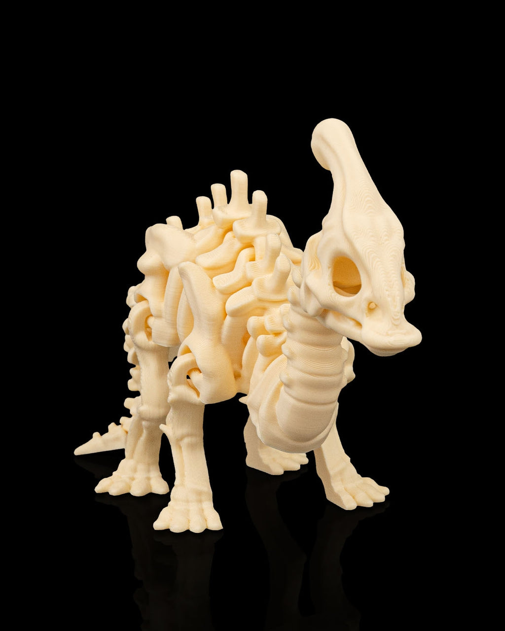 Dinosaur Skeleton Set