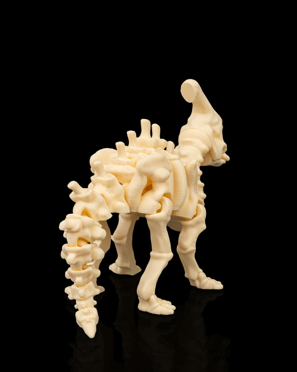 Parasaurolophus Skeleton