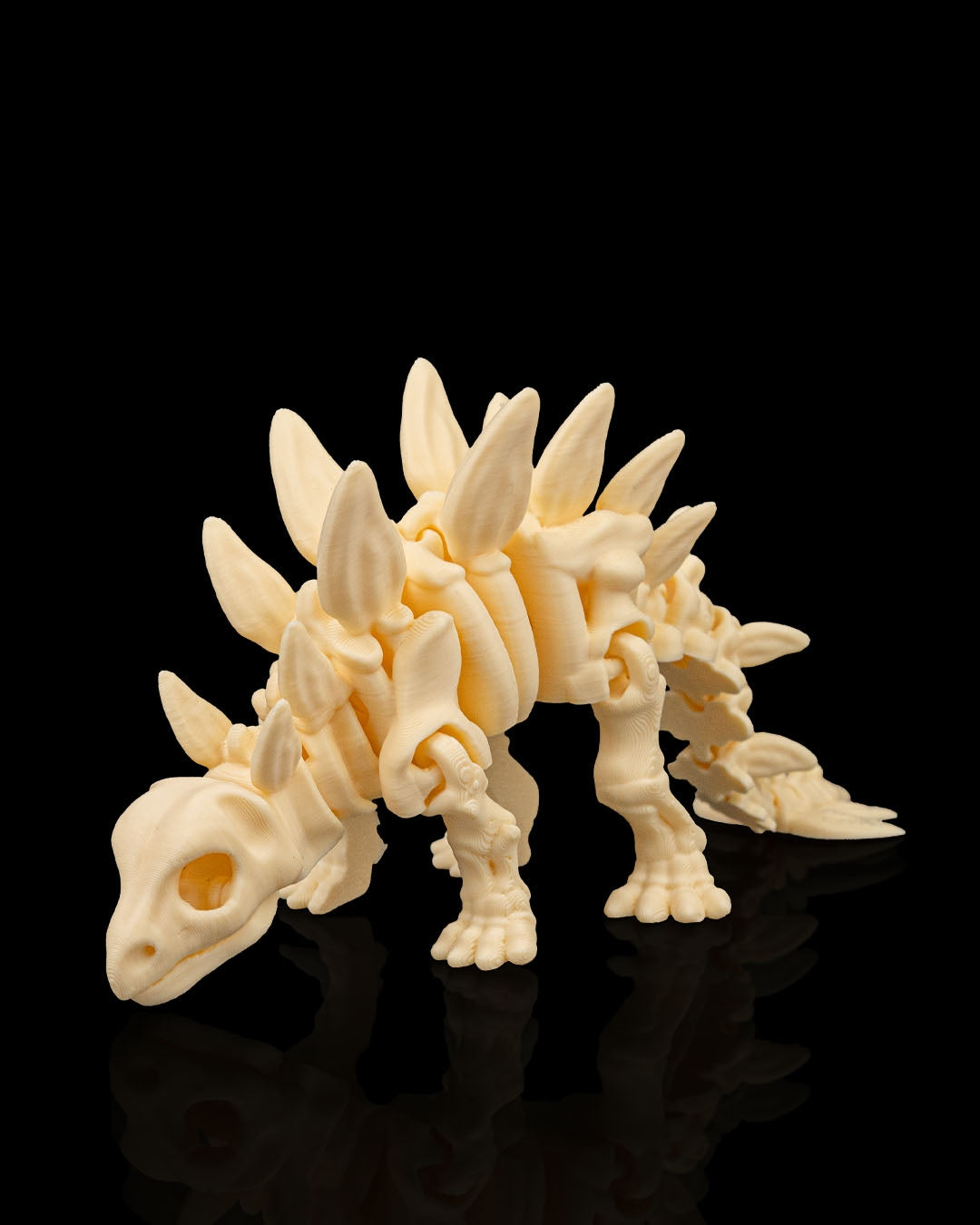 Dinosaur Skeleton Set