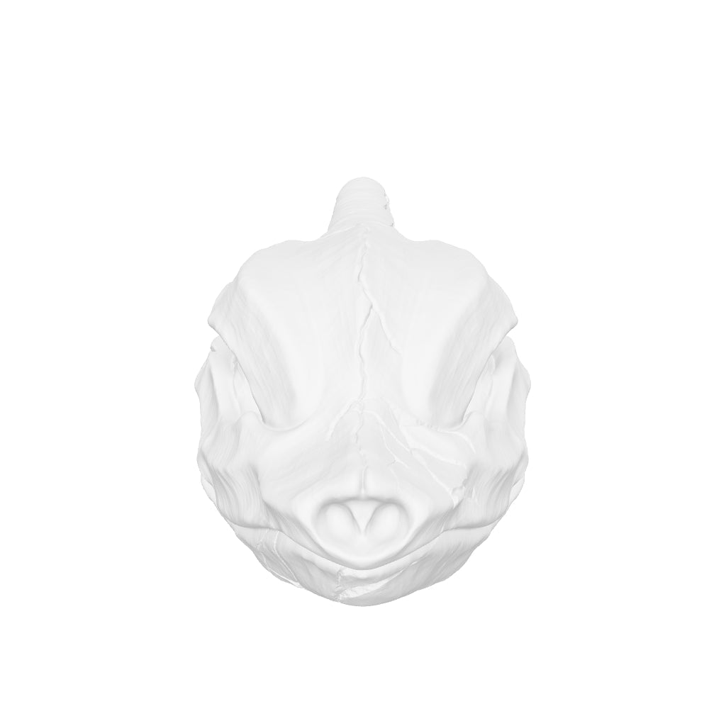 Charmeleon Skull Tea Light