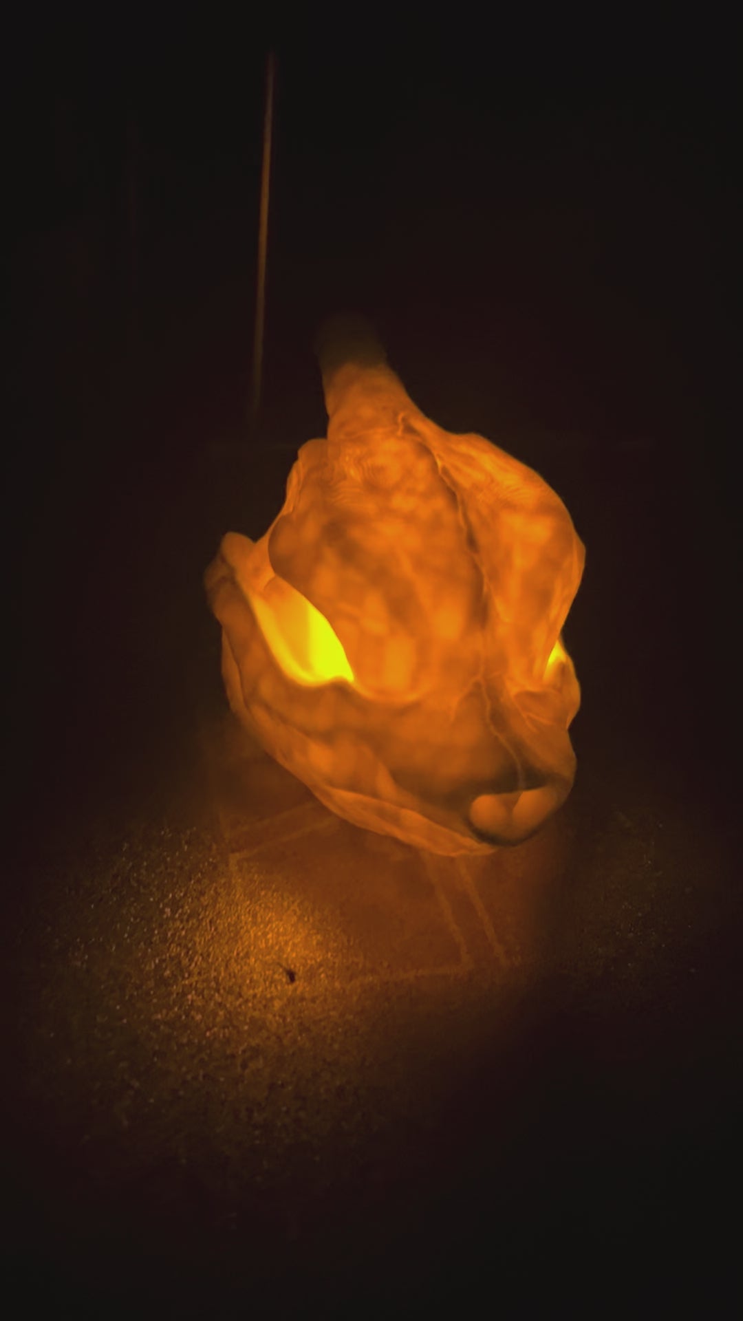 Charmeleon Skull Tea Light